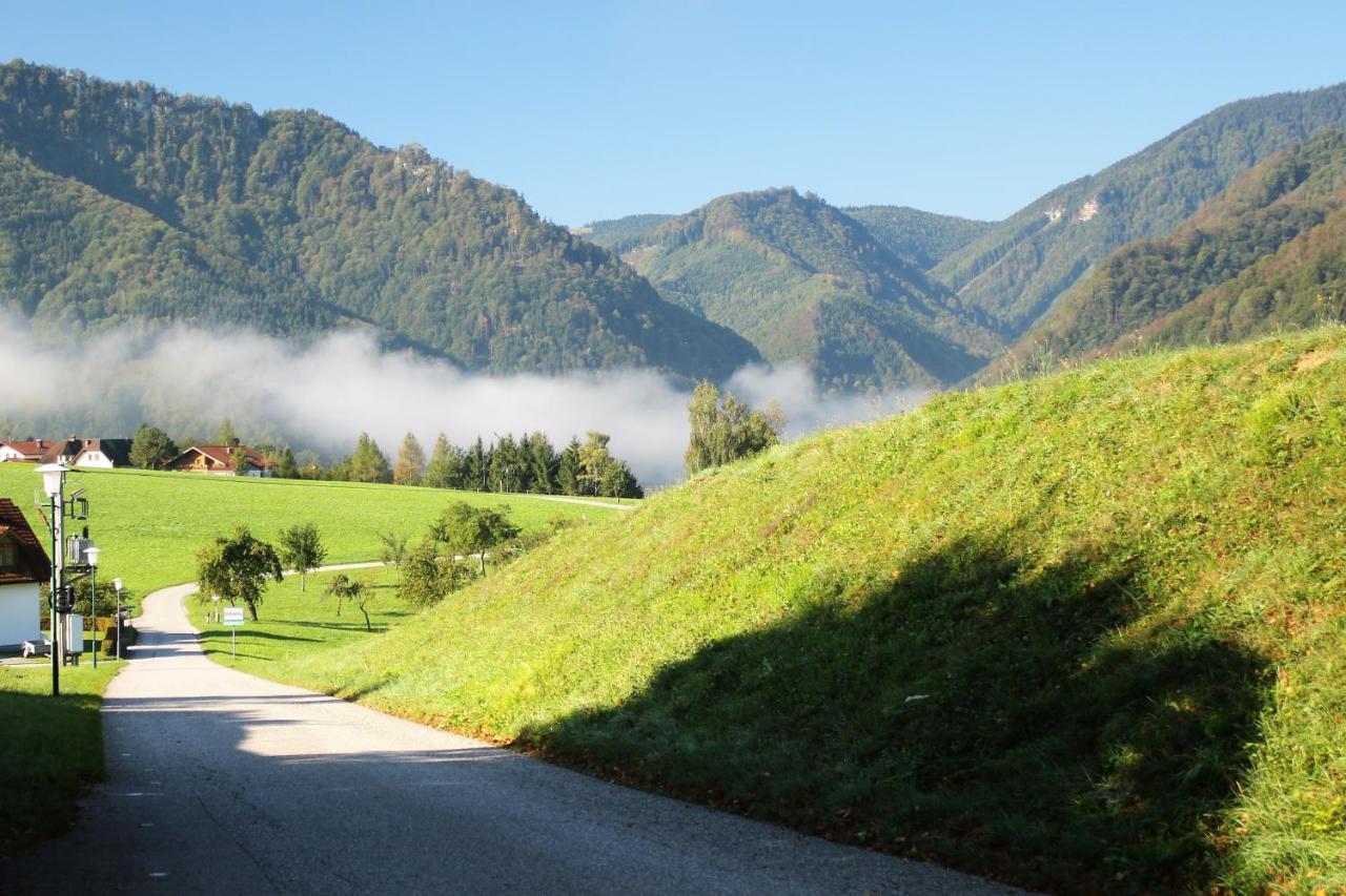 Gasthof Lehnerhof Grossraming