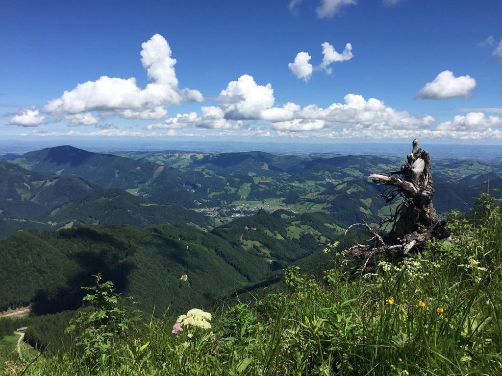 Lehnerhof *
